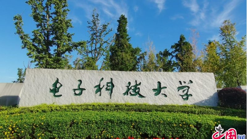 低频三极管放大电路与高频放大电路：关键差异解析